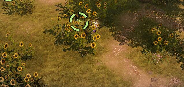 《命運方舟》向日葵島摩可可位置攻略