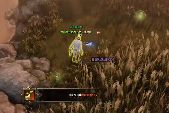 《命運方舟》繁盛蘆葦島摩可可位置攻略