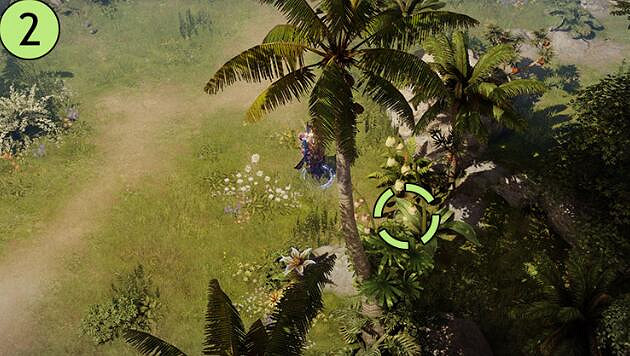 《命運方舟》睡歌島摩可可位置攻略 《命運方舟》睡歌島摩可可位置攻略