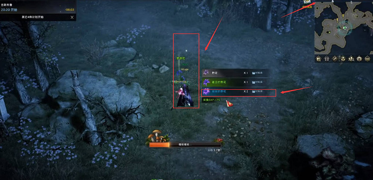 《命運方舟》2023採花位置介紹