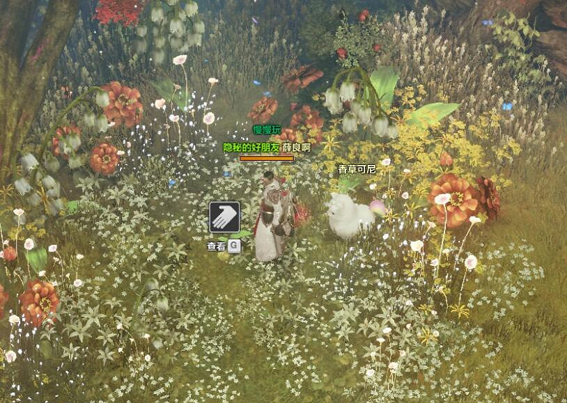 《命運方舟》私語小島摩可可位置攻略 《命運方舟》私語小島摩可可位置攻略