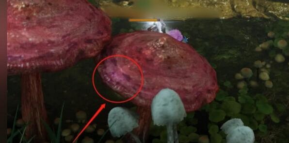 《命運方舟》巨型蘑菇島摩可可位置攻略 《命運方舟》巨型蘑菇島摩可可位置攻略