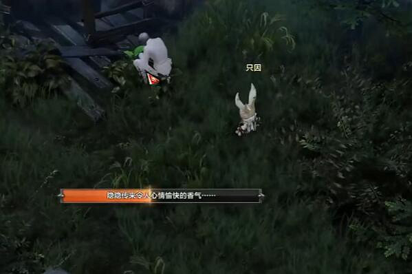 《命運方舟》追憶島摩可可位置攻略 《命運方舟》追憶島摩可可位置攻略