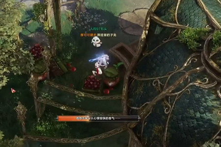 《命運方舟》洛恒戴爾摩可可怎麽獲得？洛恒戴爾摩可可獲得方法介紹