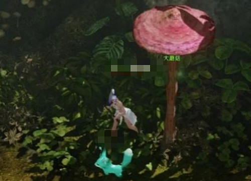 《命運方舟》蘑菇採集方法