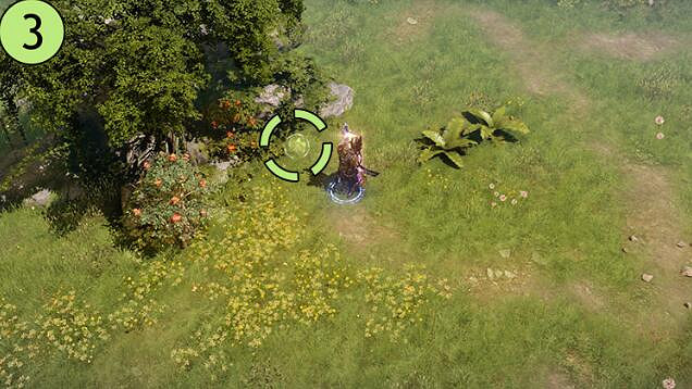 《命運方舟》波莫納島摩可可位置攻略