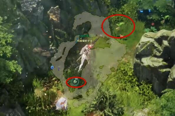 《命運方舟》納魯尼島摩可可位置攻略 《命運方舟》納魯尼島摩可可位置攻略