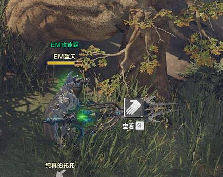 《命運方舟》涅貝霍恩摩可可位置攻略 《命運方舟》涅貝霍恩摩可可位置攻略