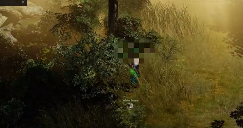 《命運方舟》艾伯格雷斯的巢穴島之心獲得方法