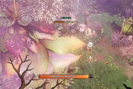 《命運方舟》洛恒戴爾摩可可怎麽獲得？洛恒戴爾摩可可獲得方法介紹