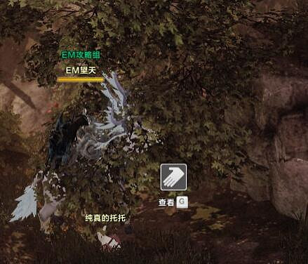 《命運方舟》梨木之地摩可可位置攻略 《命運方舟》梨木之地摩可可位置攻略