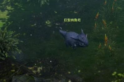 《命運方舟》納魯尼島之心獲得攻略