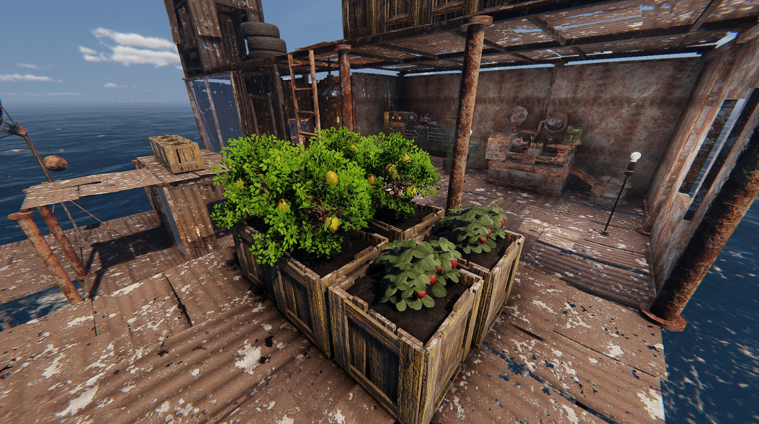 《沉沒之地》包菜獲取位置