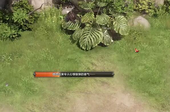 《命運方舟》利貝海姆摩可可位置攻略