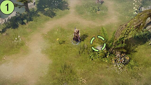 《命運方舟》睡歌島摩可可位置攻略 《命運方舟》睡歌島摩可可位置攻略