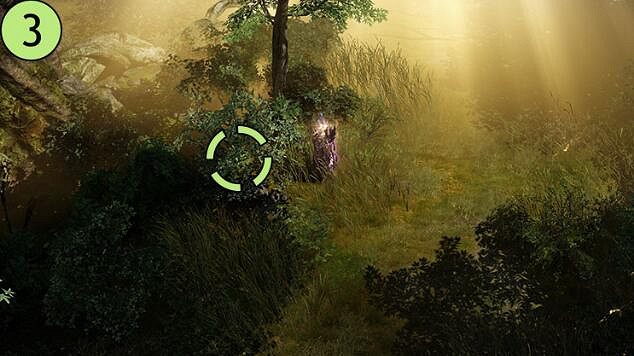 《命運方舟》艾弗格雷斯巢穴摩可可位置攻略 《命運方舟》艾弗格雷斯巢穴摩可可位置攻略