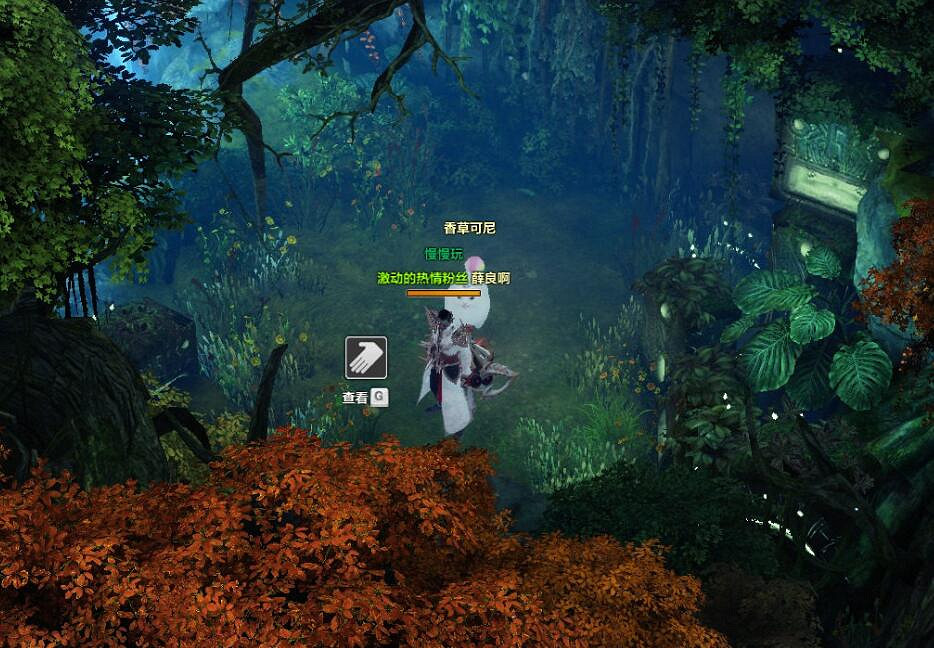 《命運方舟》私語小島摩可可位置攻略 《命運方舟》私語小島摩可可位置攻略