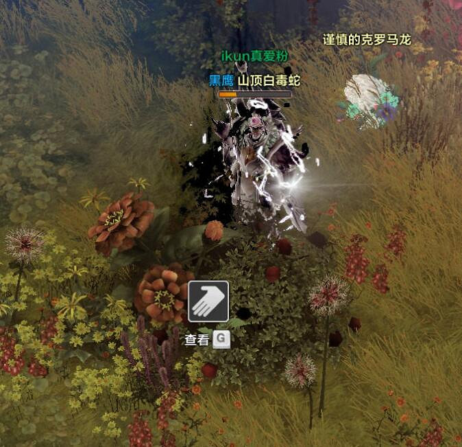 《命運方舟》私語小島摩可可位置攻略 《命運方舟》私語小島摩可可位置攻略