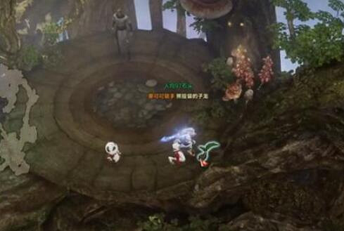 《命運方舟》風刃之丘摩可可位置攻略 《命運方舟》風刃之丘摩可可位置攻略