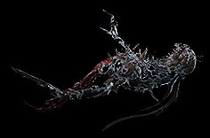 《流亡黯道》S24物品大全 《流亡黯道》S24物品大全