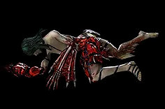 《流亡黯道》S24物品大全 《流亡黯道》S24物品大全