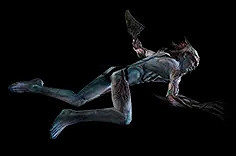 《流亡黯道》S24物品大全 《流亡黯道》S24物品大全