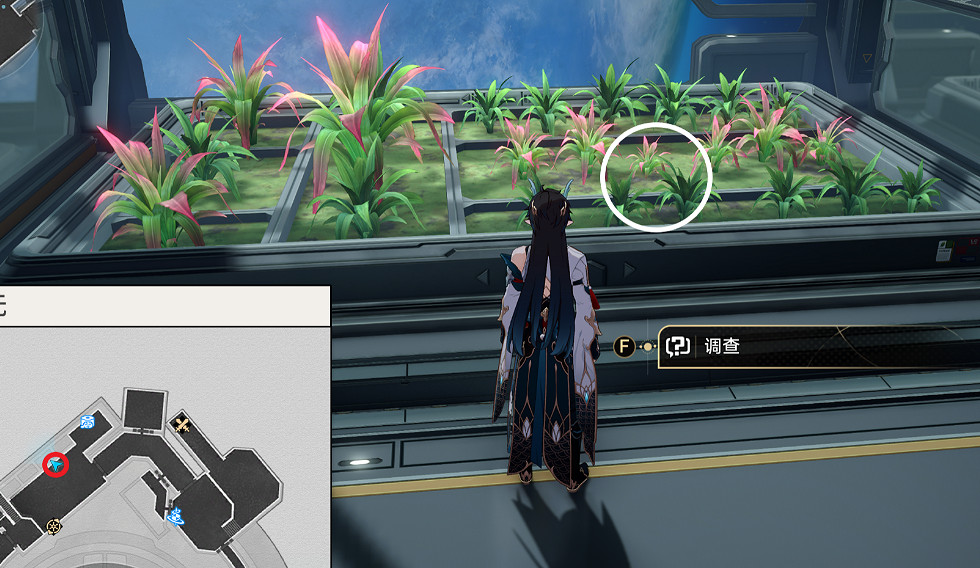 《崩壞星穹鐵道》綠手指怎麽解鎖 綠手指成就攻略 《崩壞星穹鐵道》綠手指怎麽解鎖 綠手指成就攻略