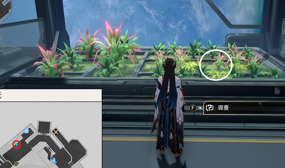 《崩壞星穹鐵道》綠手指怎麽解鎖 綠手指成就攻略 《崩壞星穹鐵道》綠手指怎麽解鎖 綠手指成就攻略