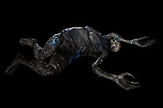 《流亡黯道》S24物品大全 《流亡黯道》S24物品大全