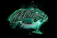 《流亡黯道》S24物品大全 《流亡黯道》S24物品大全