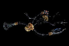 《流亡黯道》S24物品大全 《流亡黯道》S24物品大全