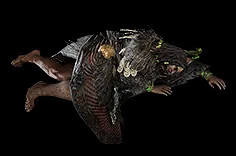 《流亡黯道》S24物品大全 《流亡黯道》S24物品大全