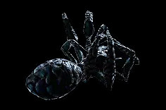 《流亡黯道》S24物品大全 《流亡黯道》S24物品大全