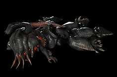 《流亡黯道》S24物品大全 《流亡黯道》S24物品大全