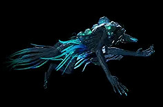 《流亡黯道》S24物品大全 《流亡黯道》S24物品大全