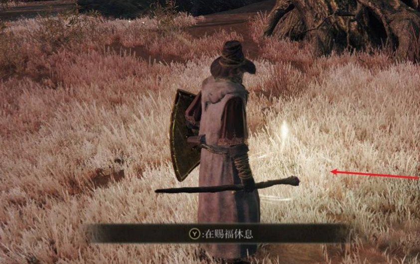 《艾爾登法環》記憶卸下方法介紹 《艾爾登法環》記憶卸下方法介紹