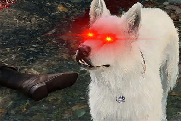 《柏德之門3》玩家因想和狗狗玩丟球卻慘遭敵人團滅 《柏德之門3》玩家因想和狗狗玩丟球卻慘遭敵人團滅