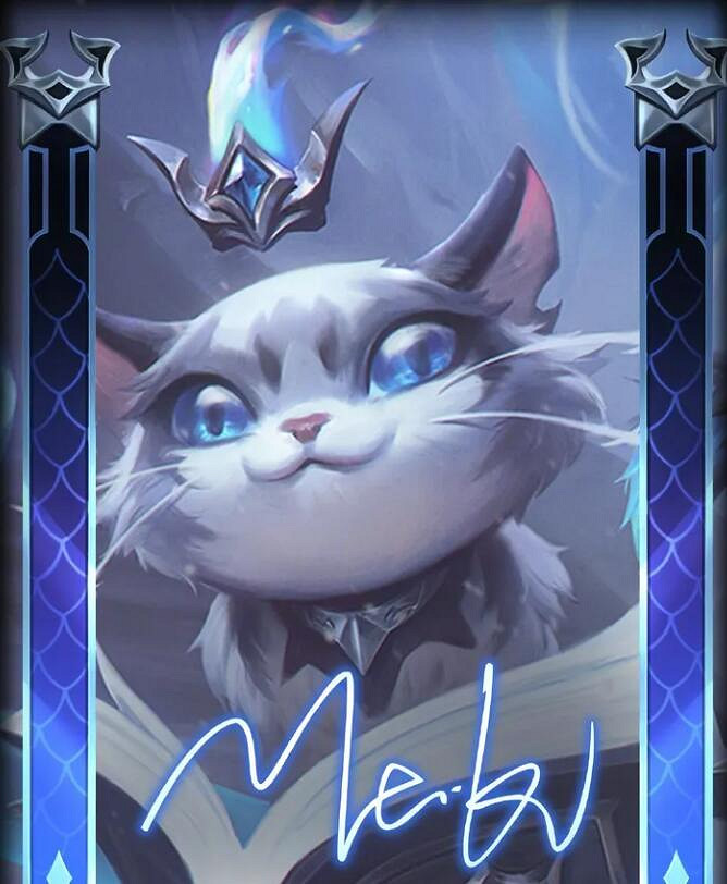 《英雄聯盟》S11冠軍戰隊介紹