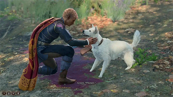 《柏德之門3》玩家因想和狗狗玩丟球卻慘遭敵人團滅 《柏德之門3》玩家因想和狗狗玩丟球卻慘遭敵人團滅