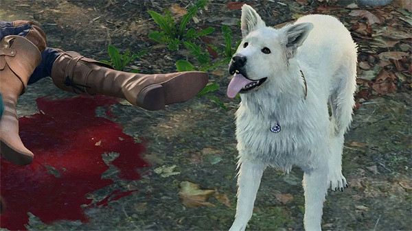 《柏德之門3》玩家因想和狗狗玩丟球卻慘遭敵人團滅 《柏德之門3》玩家因想和狗狗玩丟球卻慘遭敵人團滅