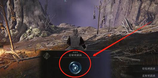 《艾爾登法環》聖杯滴露永久介紹 《艾爾登法環》聖杯滴露永久介紹