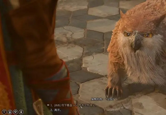 《柏德之門3》儀式四件套放置方法