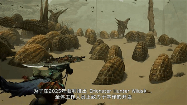 《魔物獵人》系列製作人發布2024年寄語:將迎來20周年