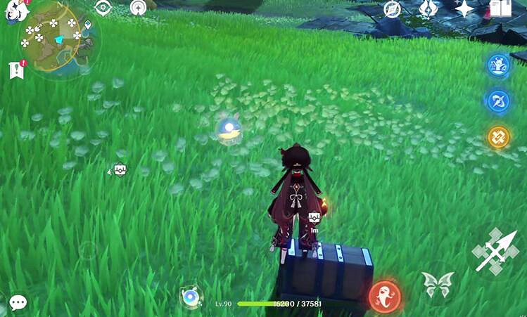 《原神》4.3秘寶迷蹤第五天寶藏收集路線 《原神》4.3秘寶迷蹤第五天寶藏收集路線