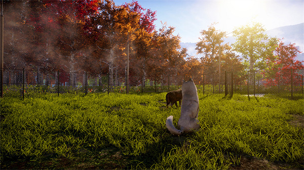 動物救助模擬遊戲《動物收容所2》將於24年登陸Steam