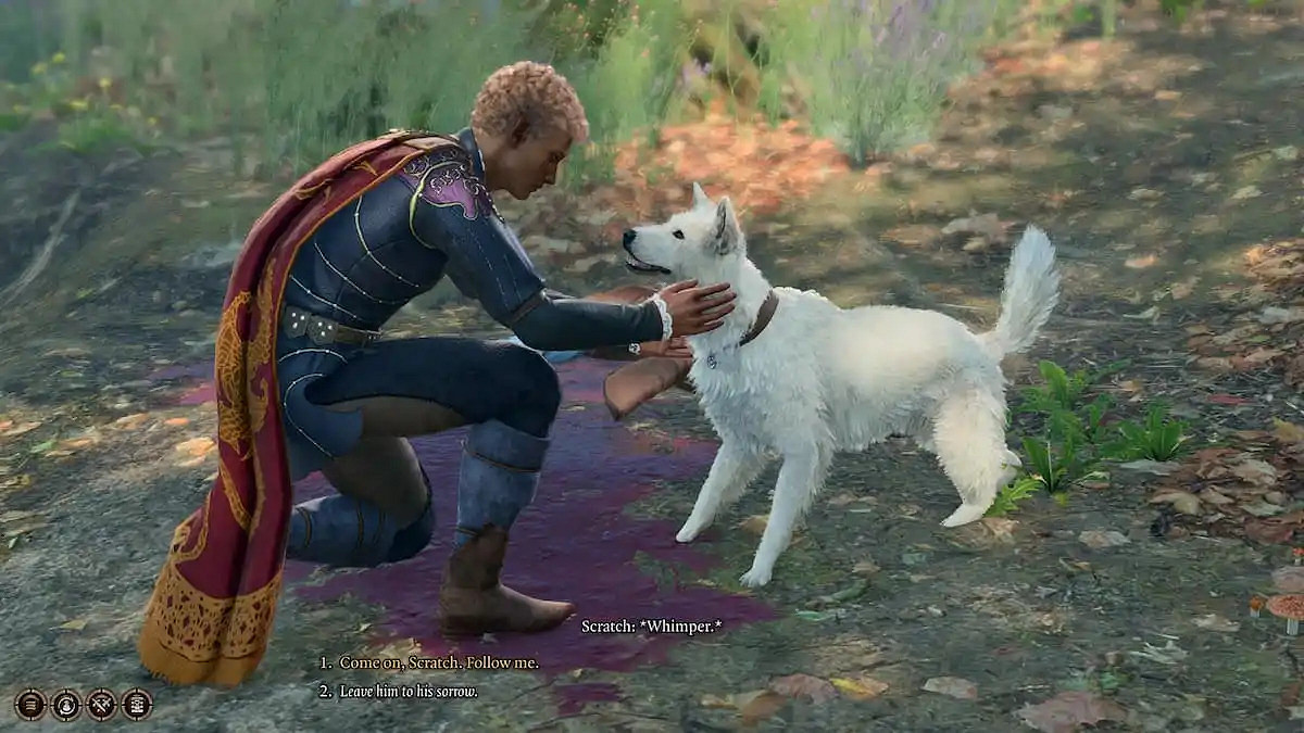 《柏德之門3》榮耀模式玩家因想和NPC狗狗玩丟球 慘遭敵對團滅 《柏德之門3》榮耀模式玩家因想和NPC狗狗玩丟球 慘遭敵對團滅