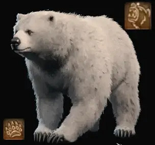 《柏德之門3》德魯伊動物形態介紹