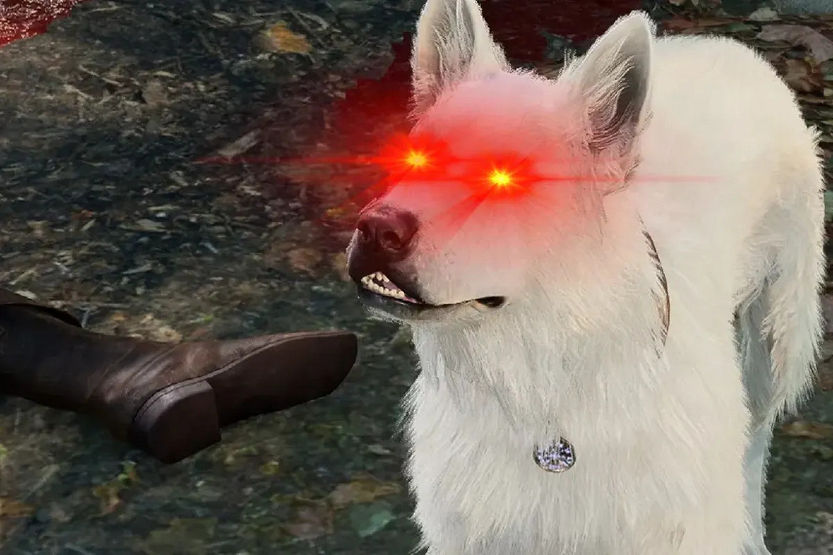 《柏德之門3》榮耀模式玩家因想和NPC狗狗玩丟球 慘遭敵對團滅 《柏德之門3》榮耀模式玩家因想和NPC狗狗玩丟球 慘遭敵對團滅