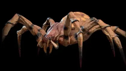 《柏德之門3》德魯伊動物形態介紹