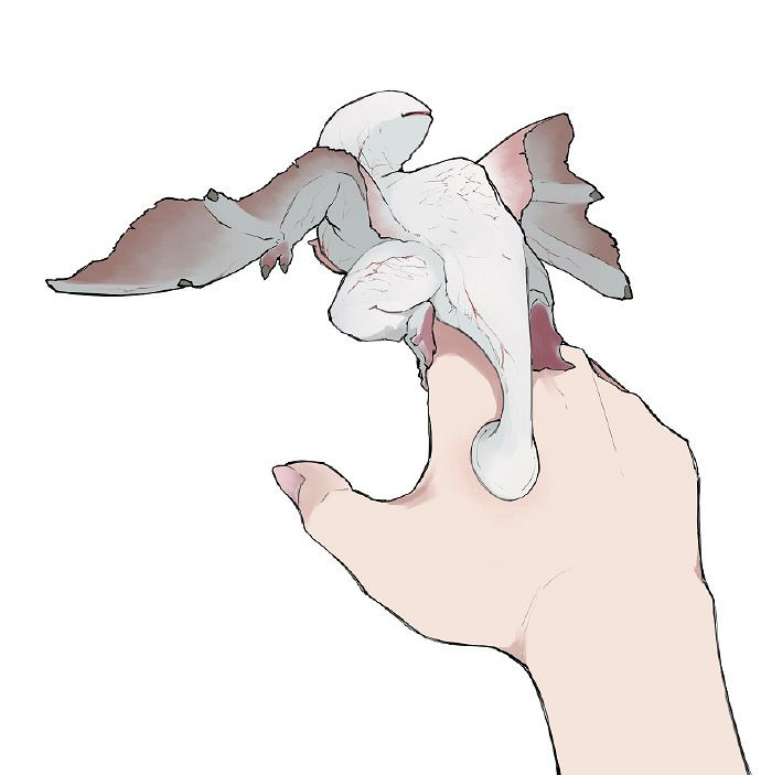 還是Q版可愛!日本畫師繪製《魔物獵人:崛起》奇怪龍 還是Q版可愛!日本畫師繪製《魔物獵人:崛起》奇怪龍